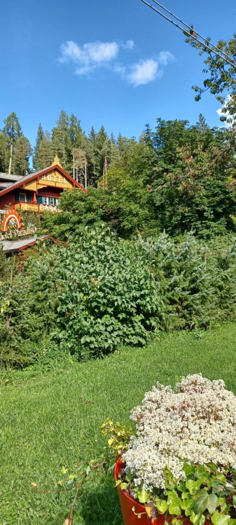 Parkhotel Sole Paradiso San Candido Esterno foto
